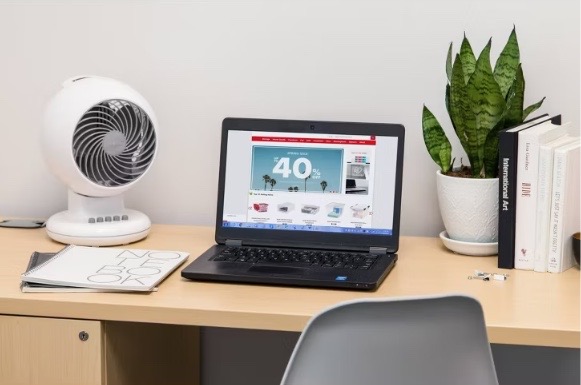 Oscillating Fan White - Woozoo - Image 2